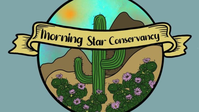 Screenshot-2025-04-10-at-11.30.53 AM-1